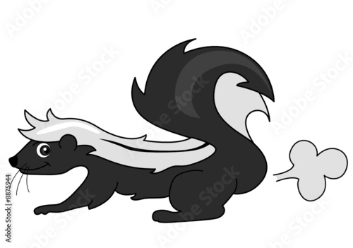 Skunk