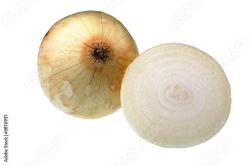 Onion with cross section against white