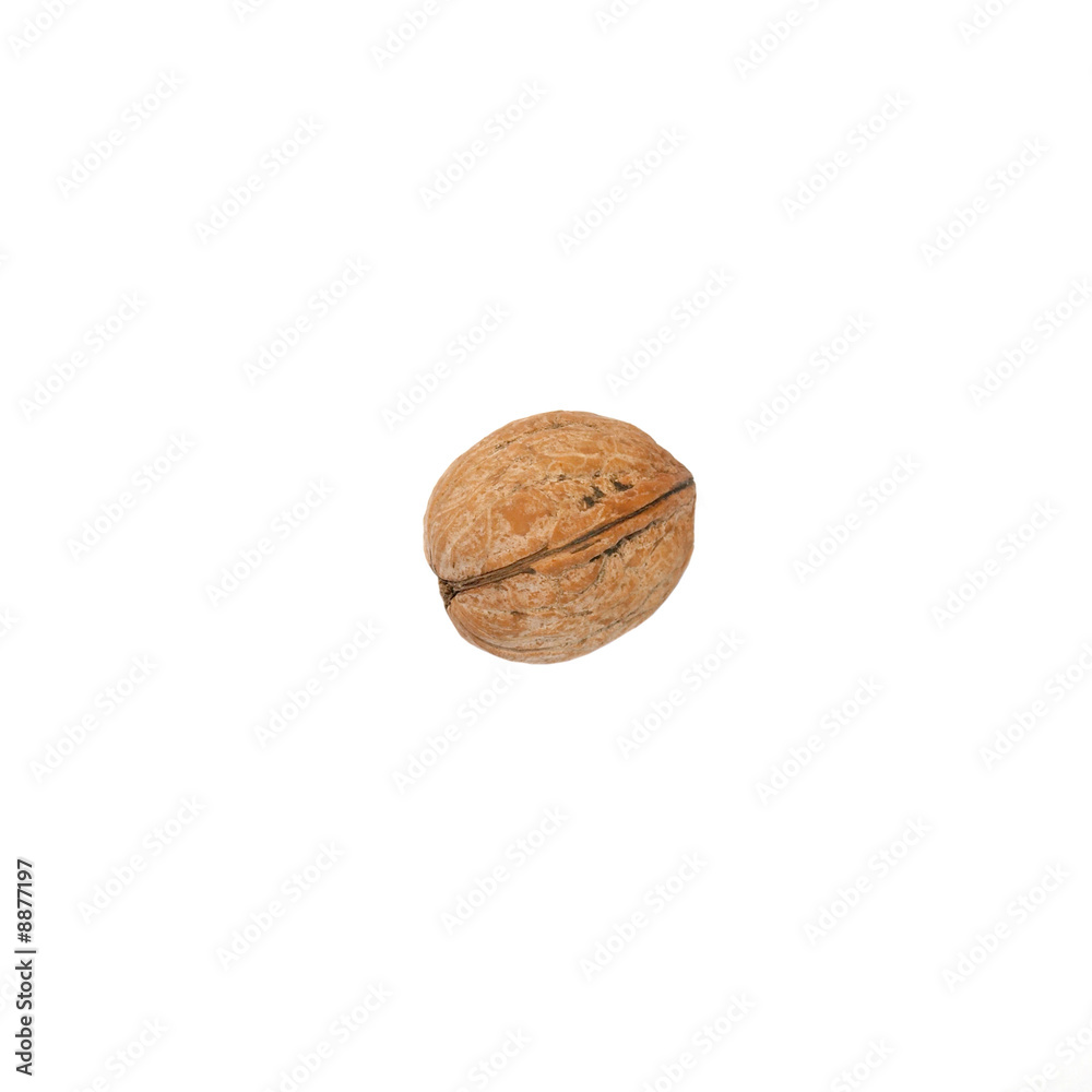 A walnut isolated on white. A walnut isolated on white.