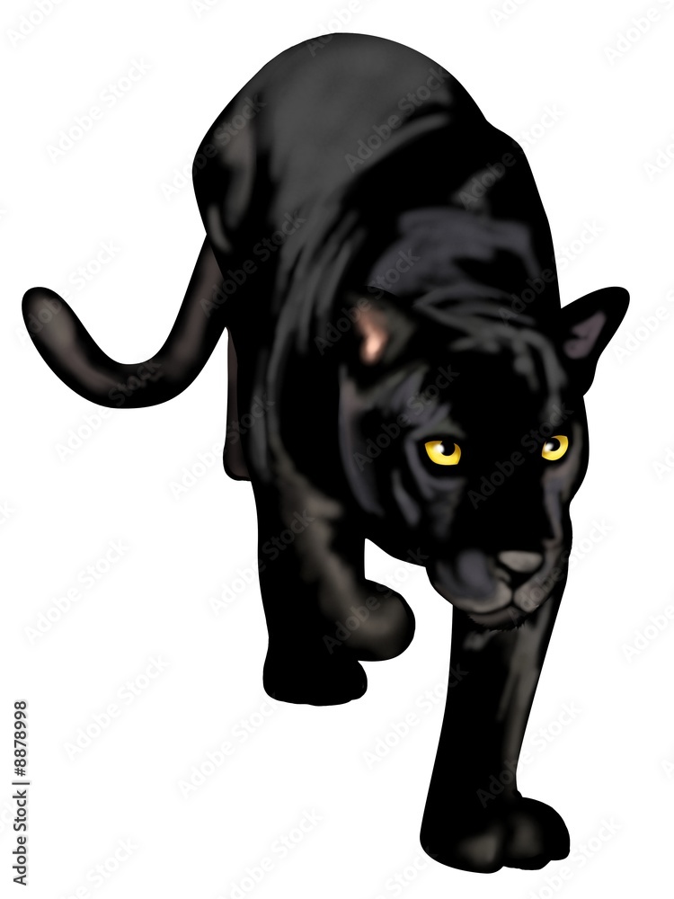 Obraz premium czarna pantera