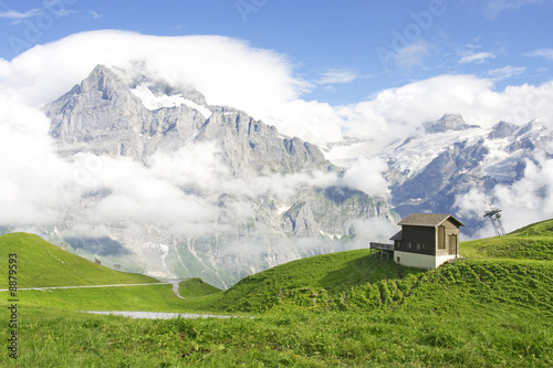 Swiss Mountains. Jungfrau region, Switzerland