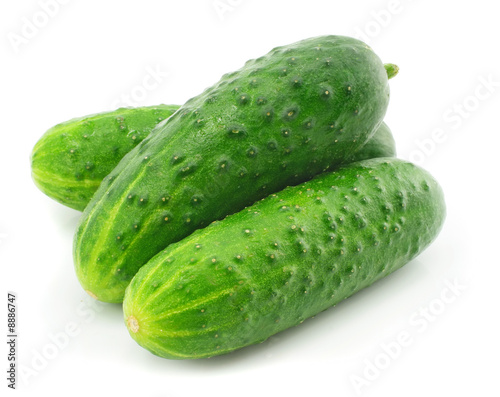 green cucumber vegetable fruits isolated on white background