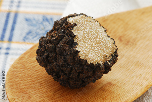 Fotografi Tartufo scorzone