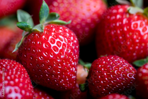 Wallpaper Mural Macro photo of fresh sweet strawberries Torontodigital.ca