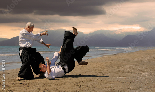 aikido au japon photo