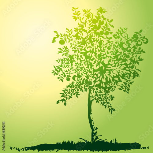 Apple Tree