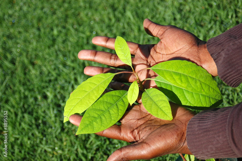 African growth