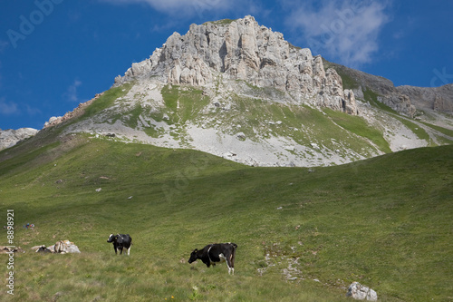 Dolomiti