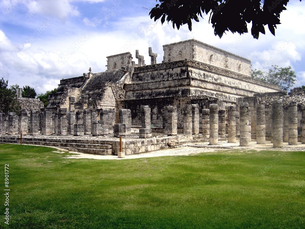 Obraz premium chichen