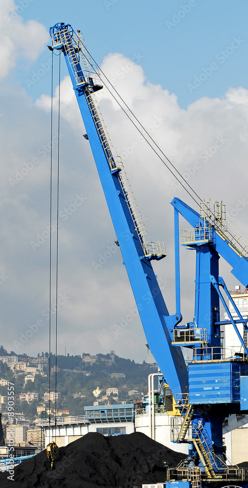 Fototapeta premium gru in area portuale merci