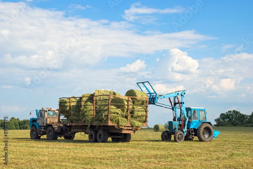 Time to harvesting