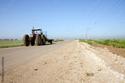 rural scenery, spring time