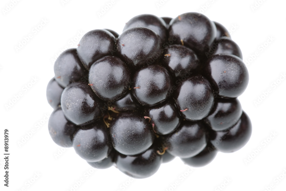 Single blackberry fruit isolated against white background Single blackberry fruit isolated against white background