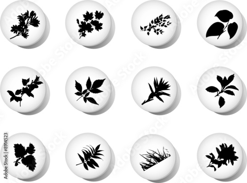 The set from silhouettes of leaves