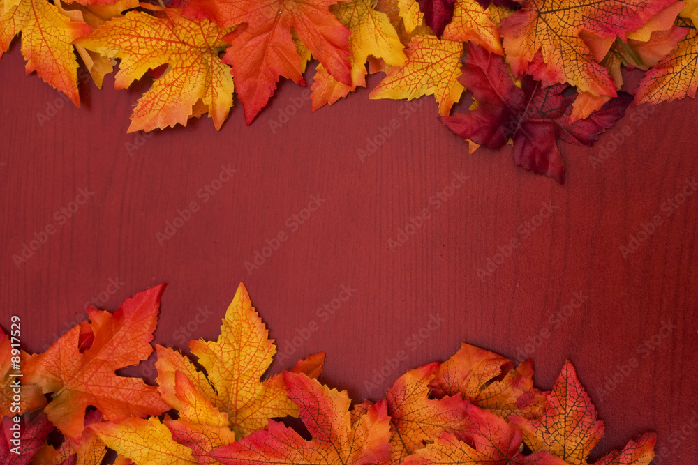 Fototapeta premium Yellow and red fall leaves on wood background