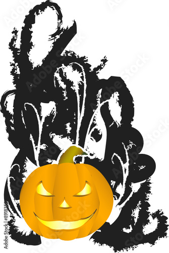 zucca con sfondo