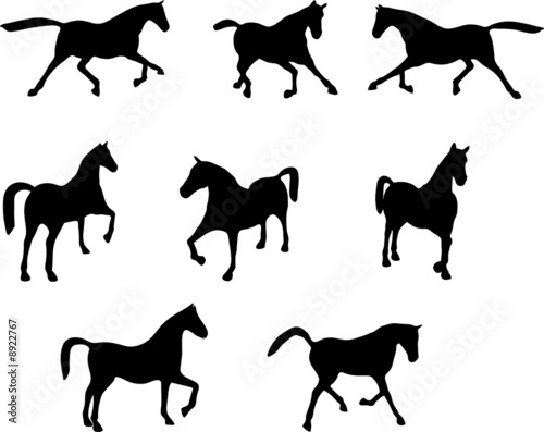 horse silhouettes collection
