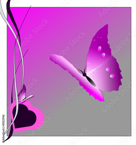 papillon lavande