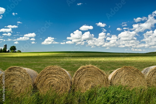 Hay bales on green summer fields