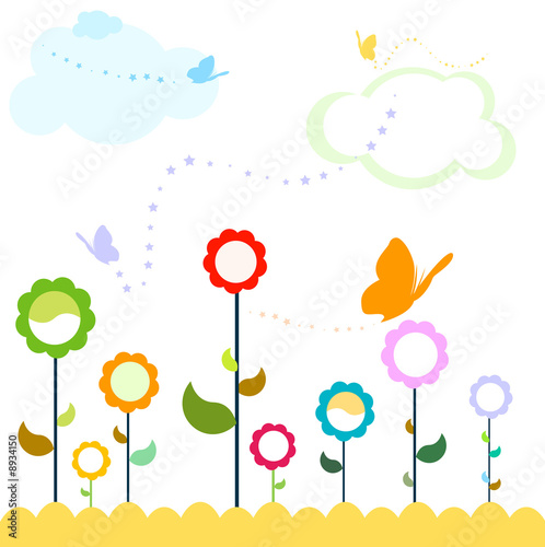 colorful flowers in the field