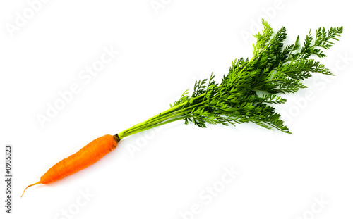 An image of fresh carrot with green leaves