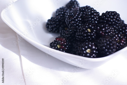 brombeeren photo