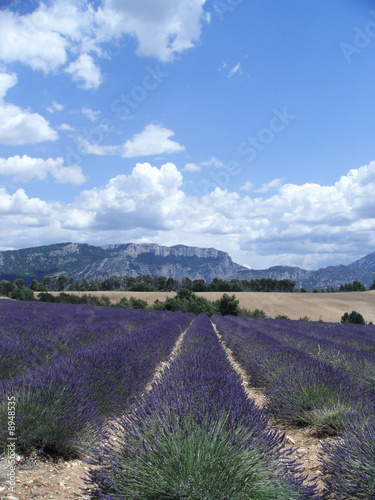 Gorges du Verdon