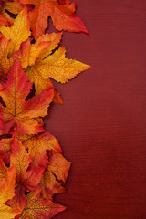 Yellow and red fall leaves on wood background