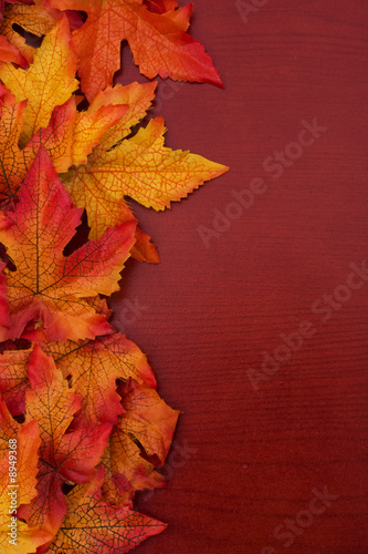 Yellow and red fall leaves on wood background