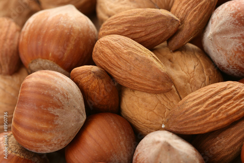 background of various nuts - hazelnuts walnuts and almonds