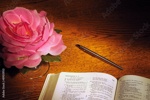 Bible open to Song of Solomon with pen and fabric rose