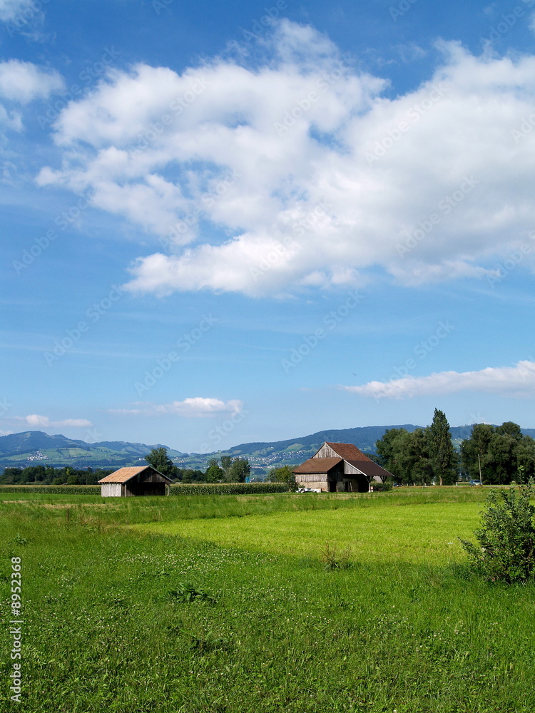 prairie...été