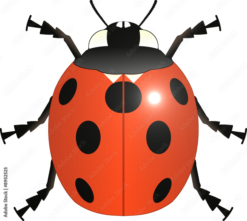 Coccinelle Coccinelle