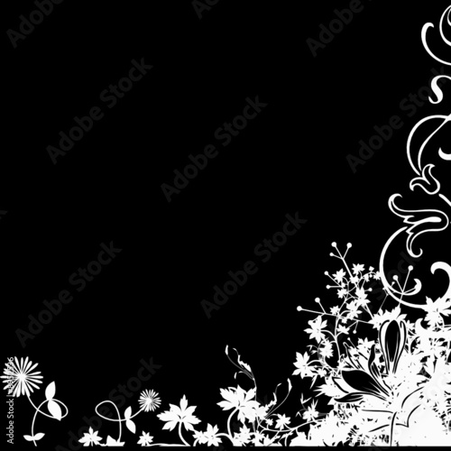 FLORAL BLANC FOND NOIR