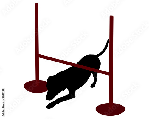 Hundesport, Agility, Kriechen
