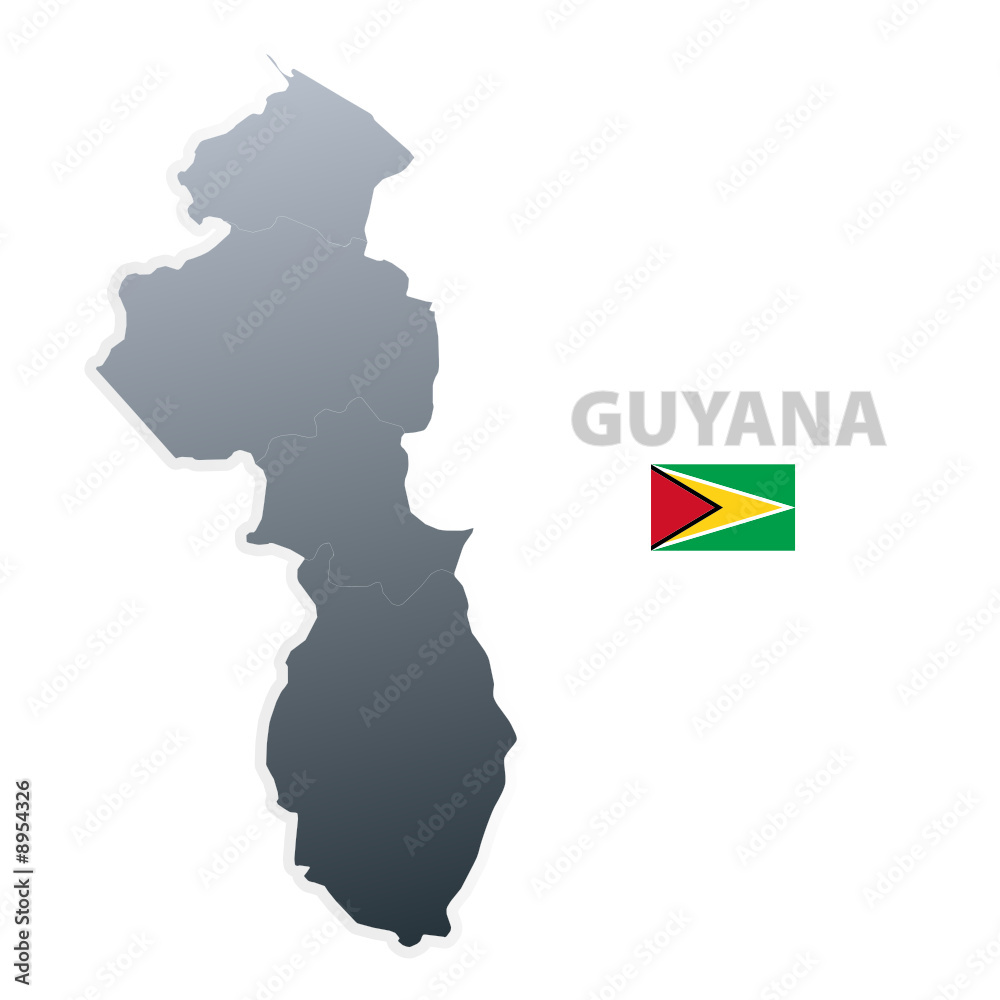 Guyana map with official flag