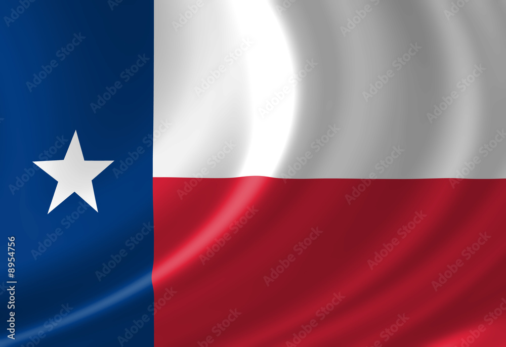 Texan flag waving in the wind Texan flag waving in the wind