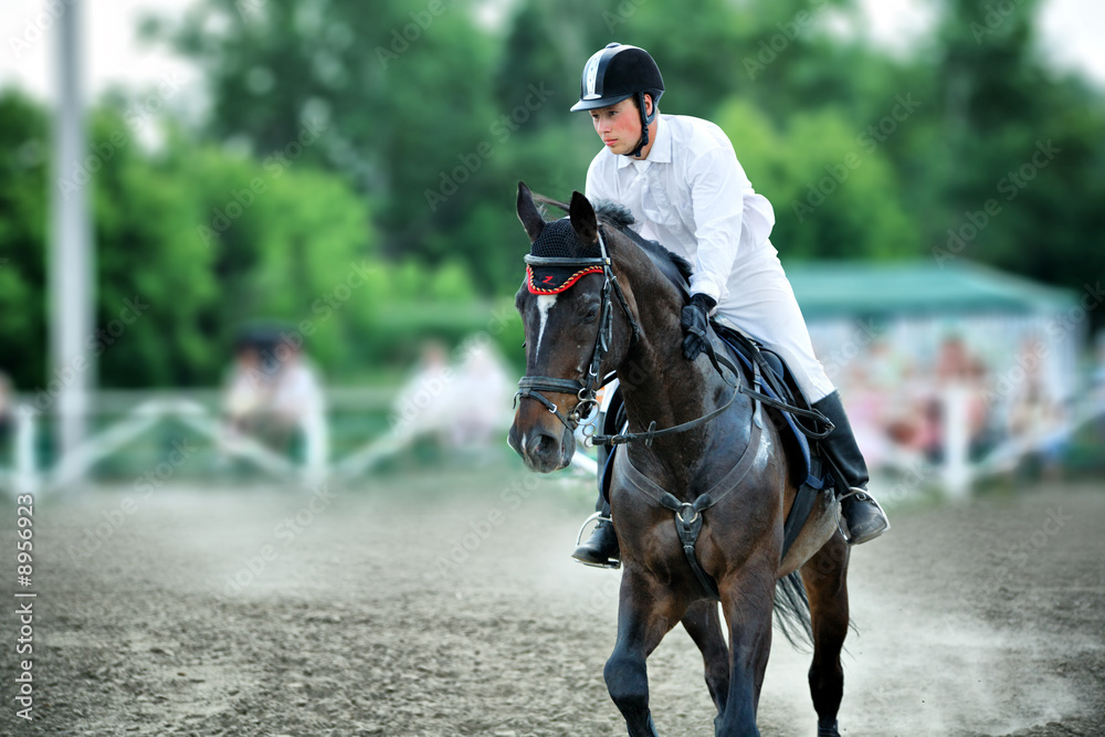 Horse theme: jockeys, horse races, speed. Horse theme: jockeys, horse races, speed.