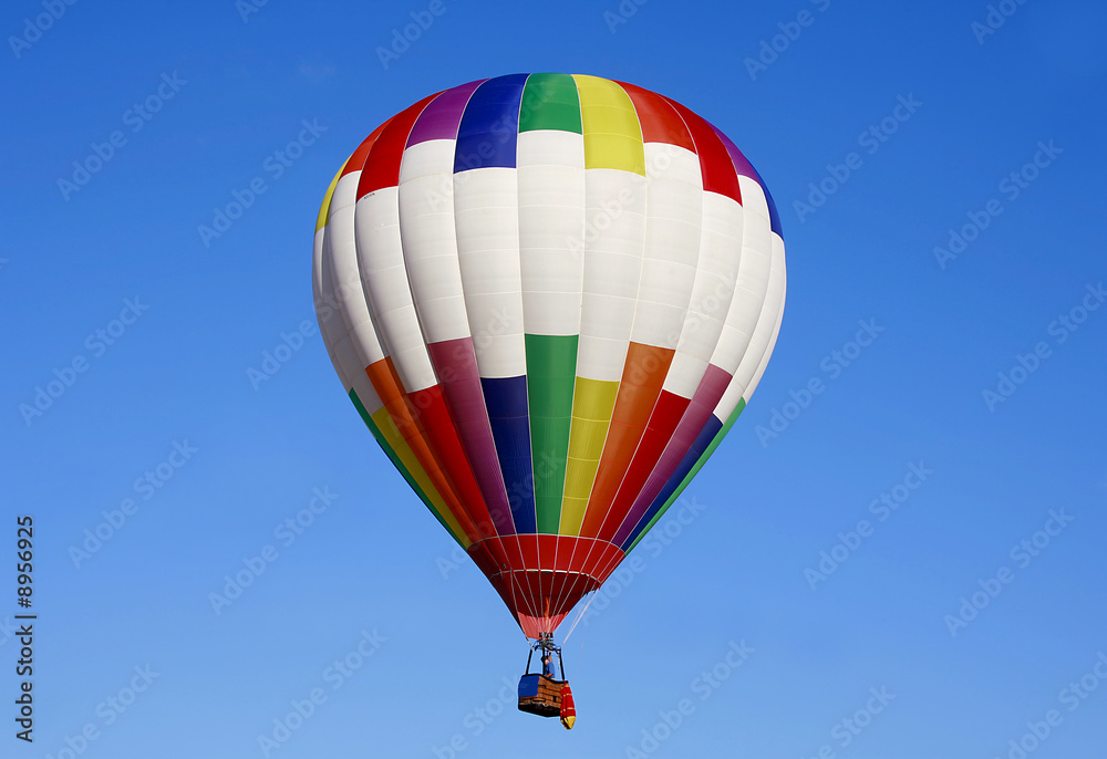 Fototapeta premium Hot Air Balloon