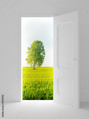 Landscape behind the open d...