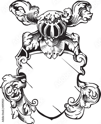 helmet and shield