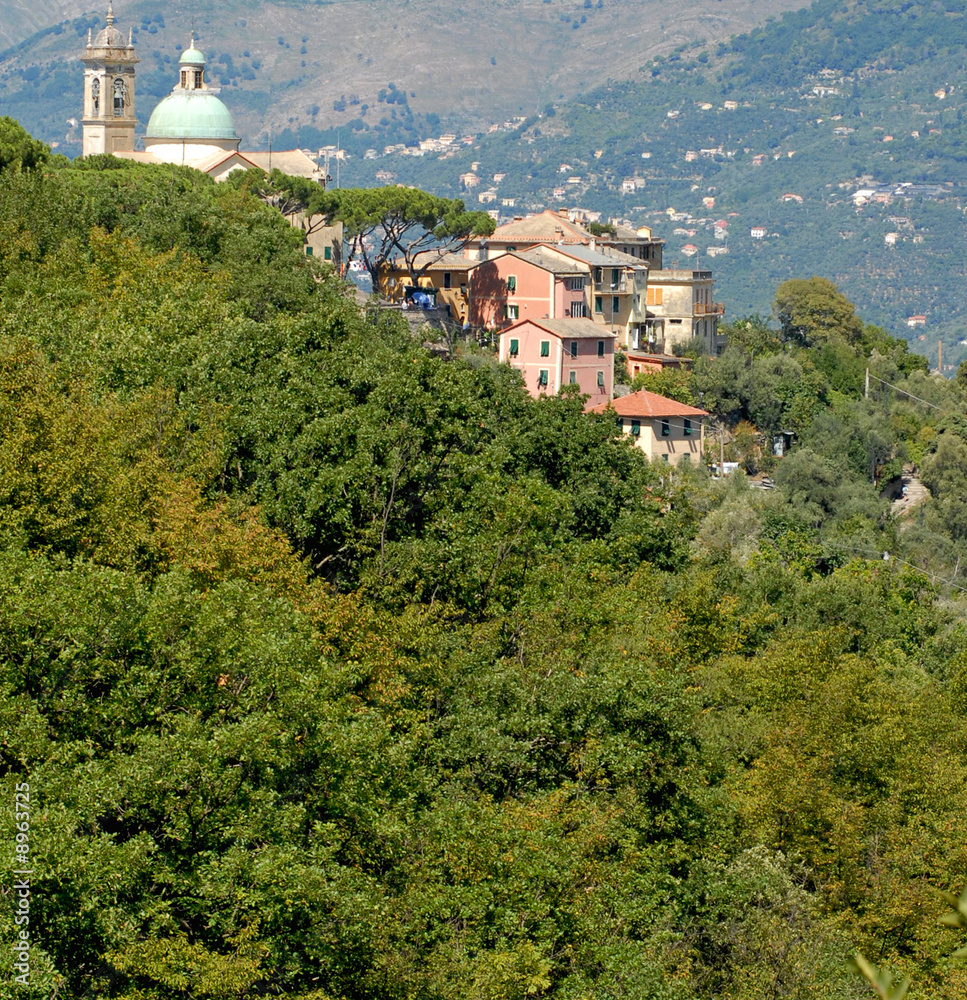 Obraz premium villaggio di campagna in liguria