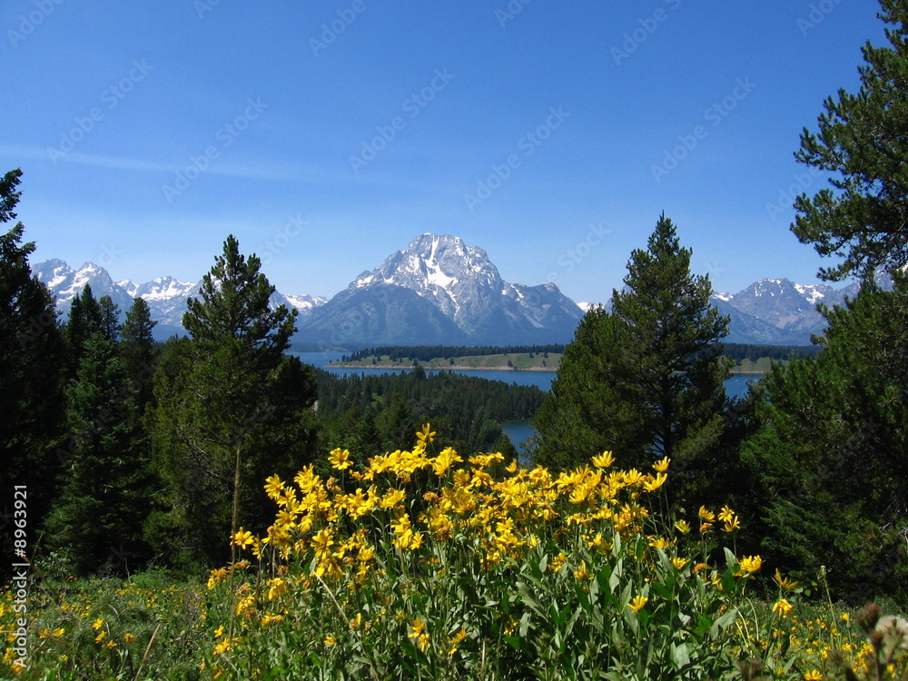 Fototapeta premium Signal Mountain view, Grand Teton National Park