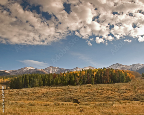Fall Colors
