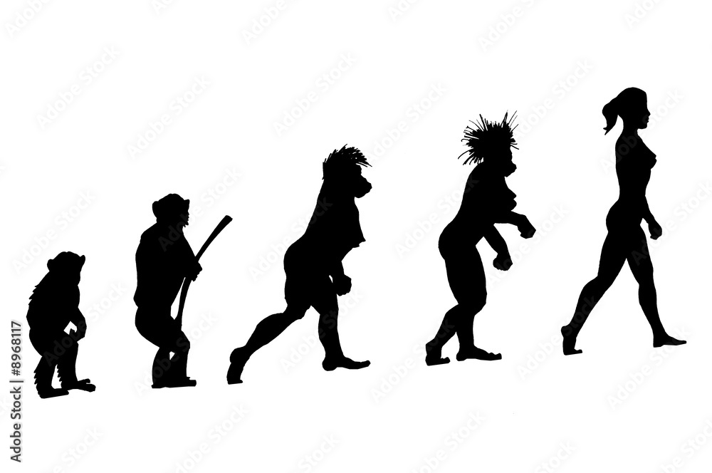 l evolution c est la femme. foto de Stock Adobe Stock