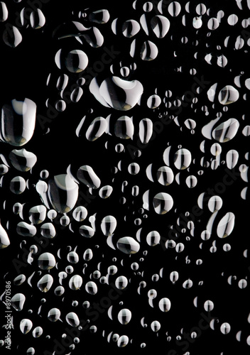 Close-up of small water droplets against black background