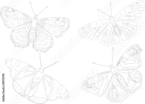 butterfly silhouette collection