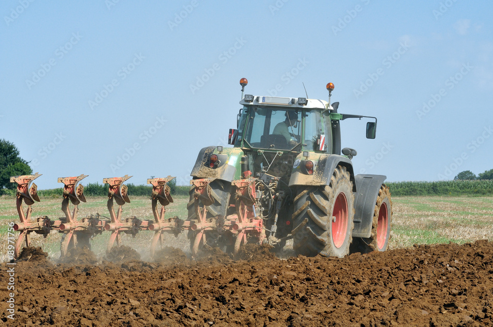 Fototapeta premium Travail aux champs 