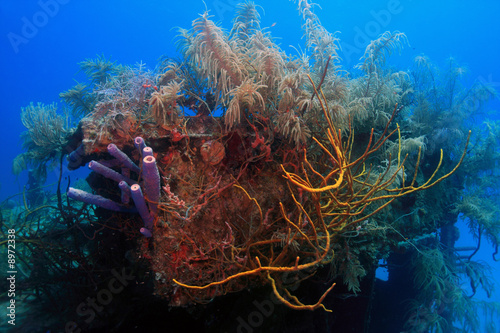 underwater wreck photo