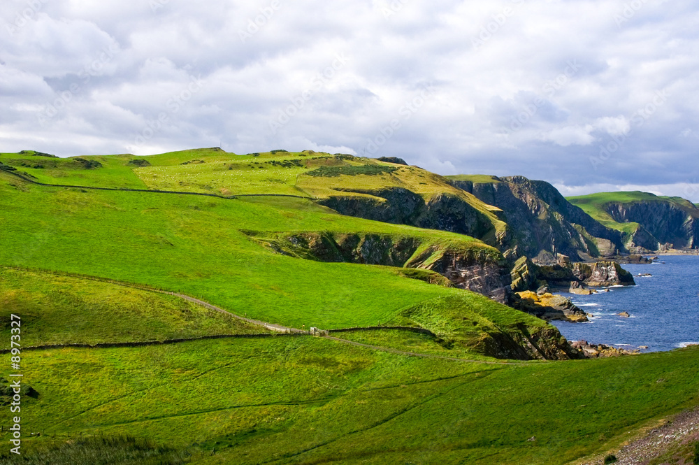 dangerous coastal cliffs covered with bright green pasture